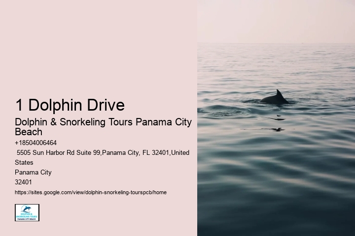 1 Dolphin Drive
