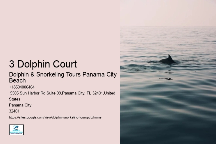 Dolphin Cruise