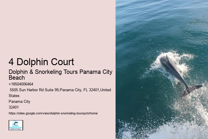 Dolphin And Snorkel Tours Panama City Beach