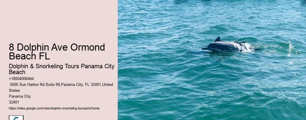 Salty Fins Dolphin And Snorkeling Tours Panama City Beach Photos