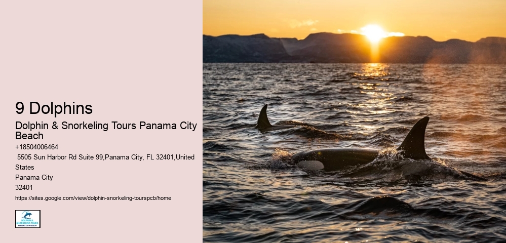 Adventurous Activities In Panama City Beach
