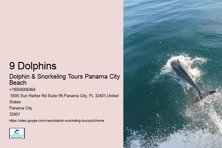 9 Dolphins