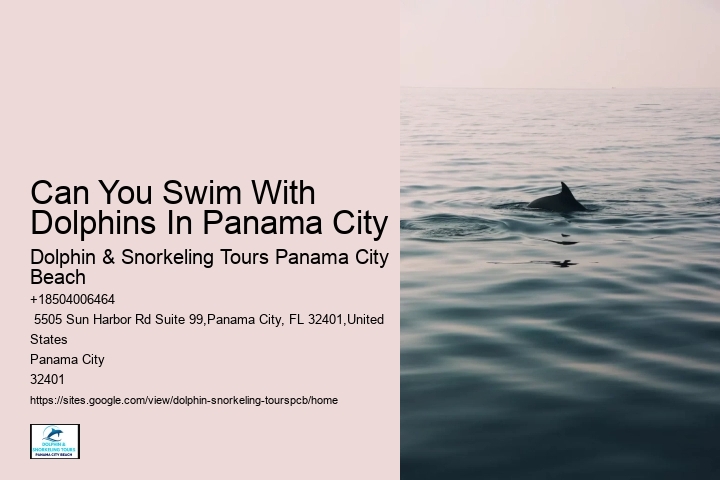 Can You Swim With Dolphins In Panama City