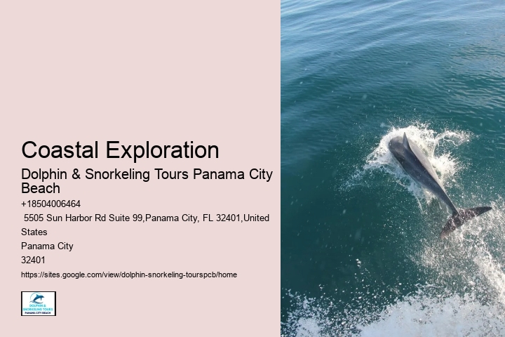 Dolphin & Snorkeling Tours
