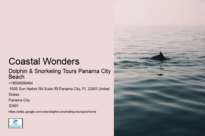 Do I Need Water Shoes To Swim With Dolphins