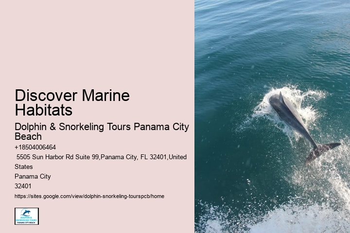 Discover Marine Habitats