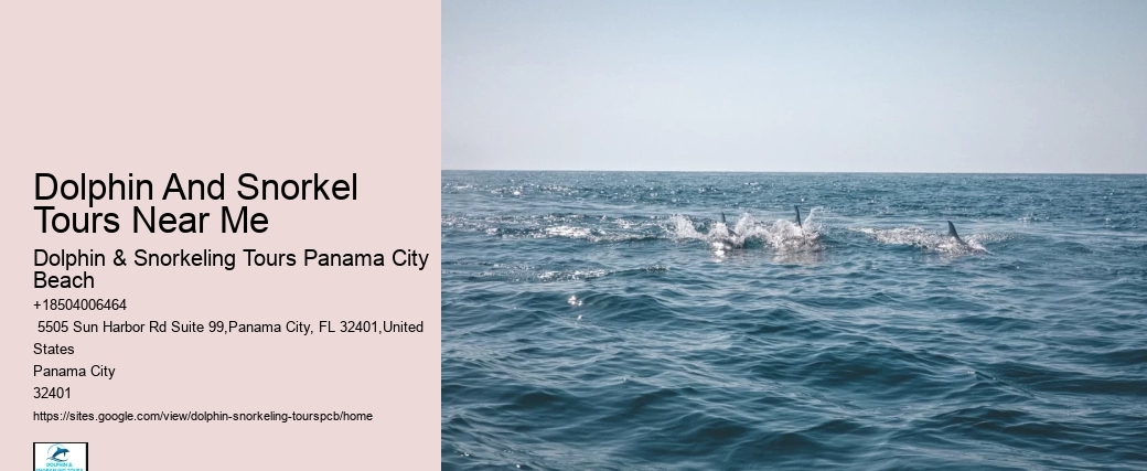 Can You See Whales In Panama City