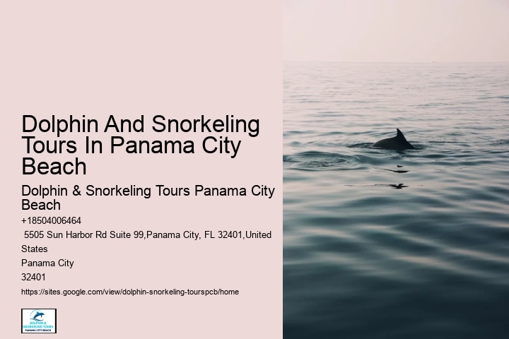 Dolphin & Snorkeling Tours In Panama City Beach Prices