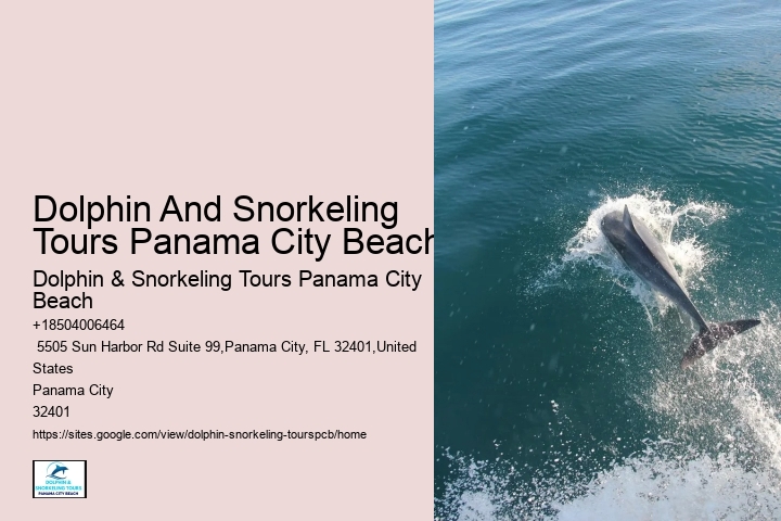 Dolphin Excursions Panama City Beach
