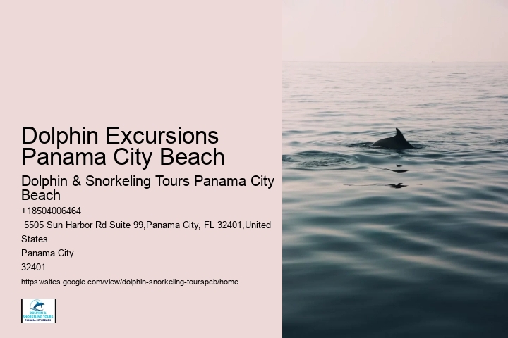 Dolphin Excursions Panama City Beach