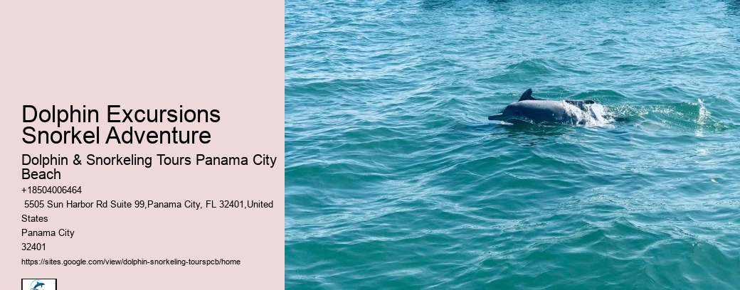 Panama City Beach Dolphin And Snorkel Tours