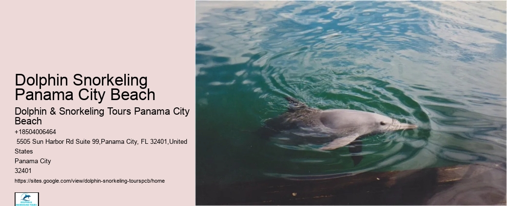Snorkeling Tours Panama City