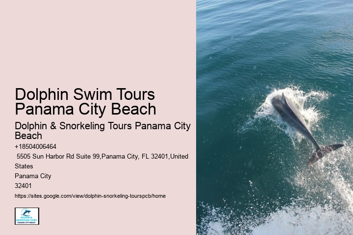 Dolphin & Snorkeling Tours Excursions