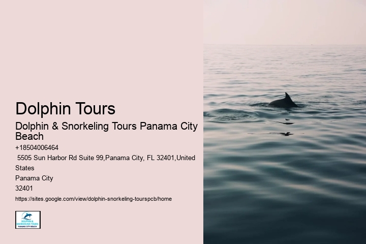 Swim Adventure Experience | Marineland Dolphin Adventure