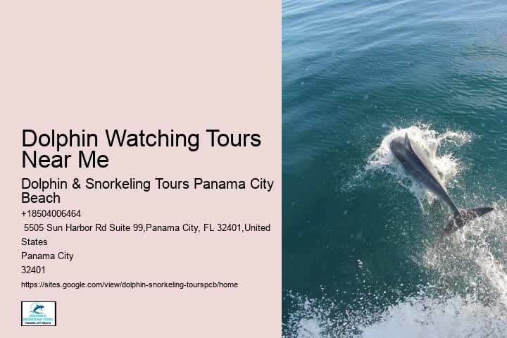 Dolphin Watching Tours Near Me