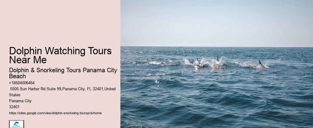 Group Tours