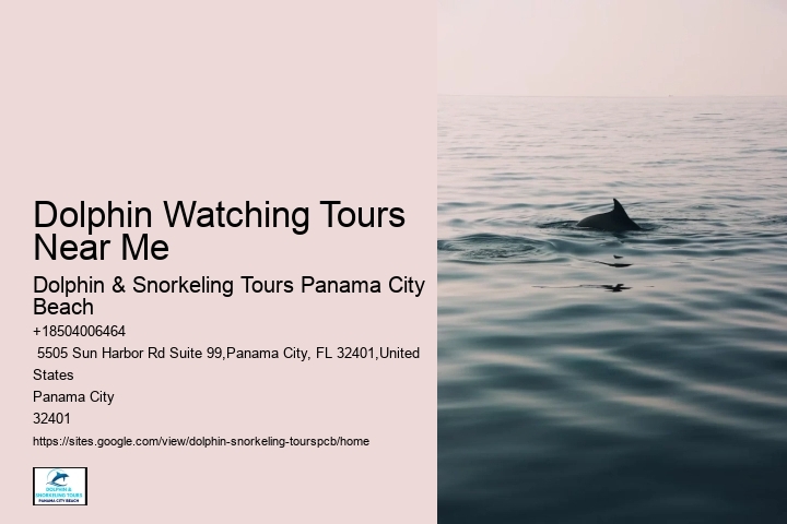 Panama City Beach Dolphin Tours & Adventures Llc