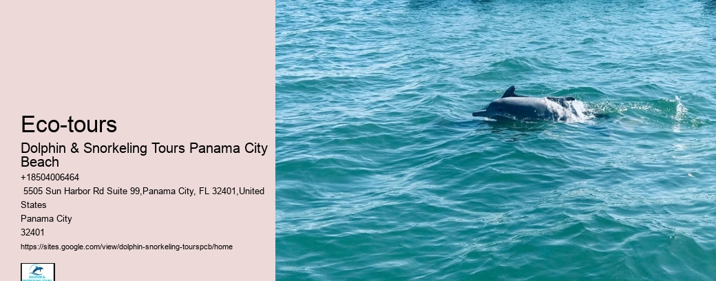 Tours Panama City Beach