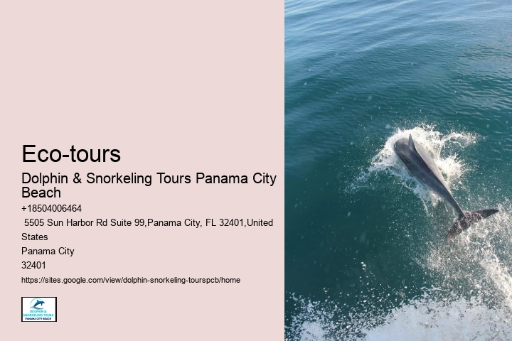 Snorkeling Tours Panama