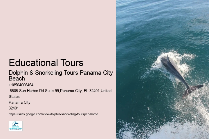 Panama City Beach Dolphin Swim Adventure
