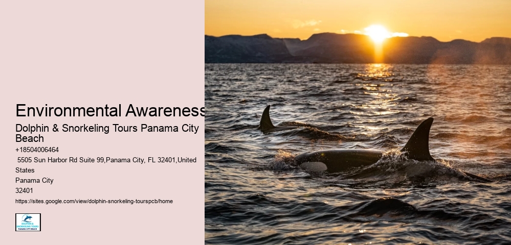 Environmental Awareness