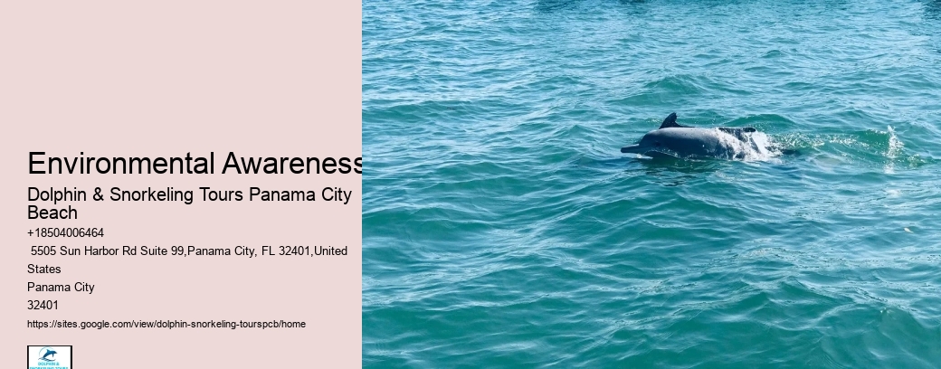 Panama City Dolphin