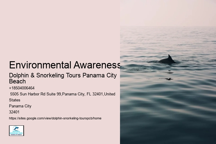 Will Dolphins Swim With Humans