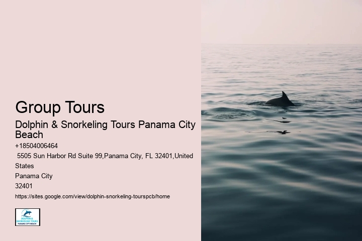 Where Is The Best Place To Swim With Dolphins