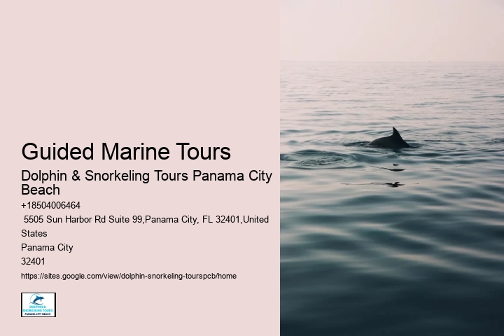 Is There A Weight Limit To Swim With Dolphins