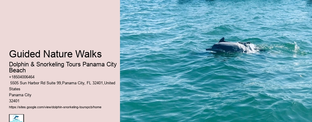 Why Not To Swim With Dolphins