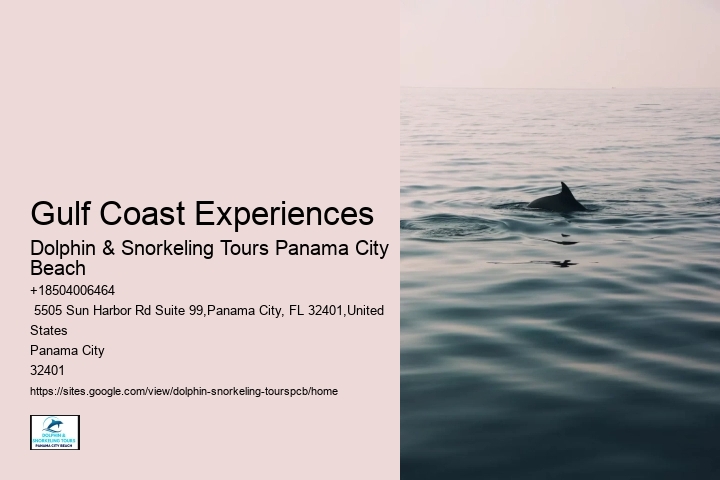 Gulf Coast Experiences