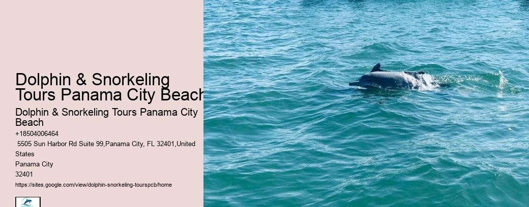 Scuba Diving Opportunities