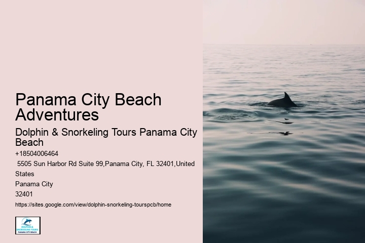 Panama City Beach Adventures