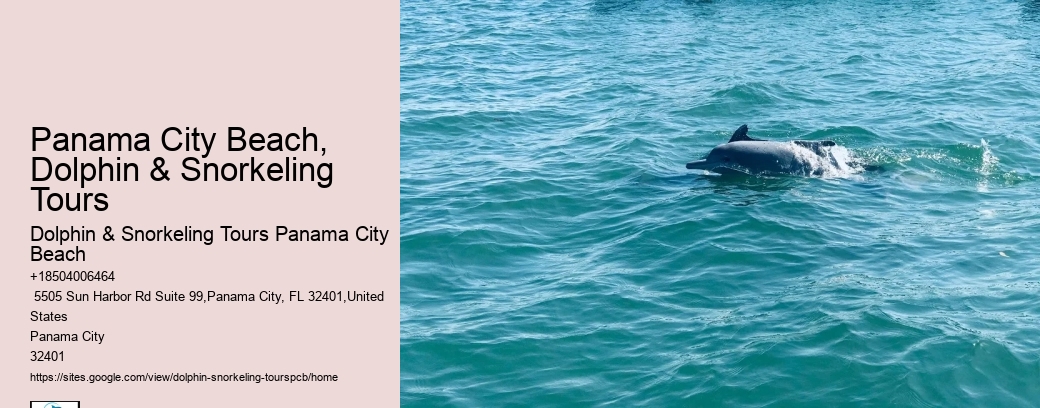 Panama City Beach, Dolphin & Snorkeling Tours