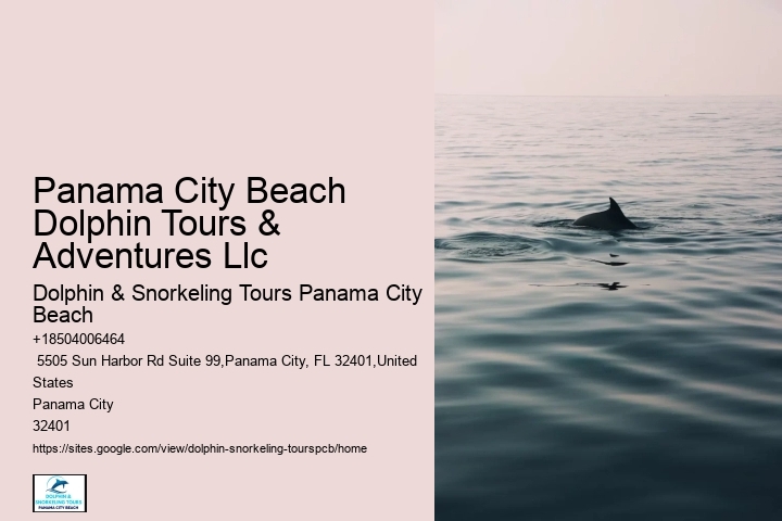 Panama City Beach Dolphin Tours & Adventures Llc