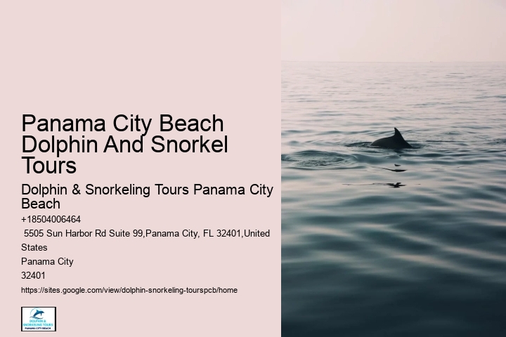Do Dolphins Swim Close To Shore At Night