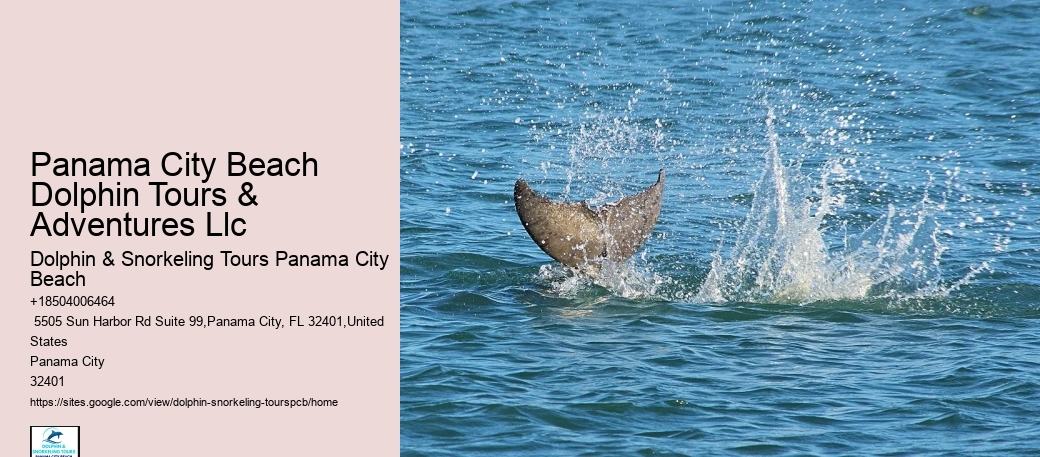 Boat Tours