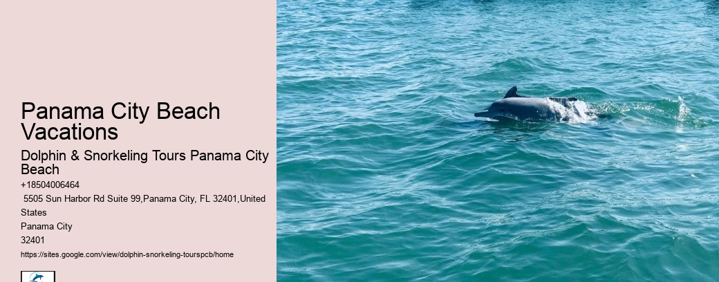 Can You Swim With Manatees In Panama City Beach