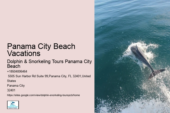 Dolphin & Snorkeling Tours In Panama City Beach Reviews