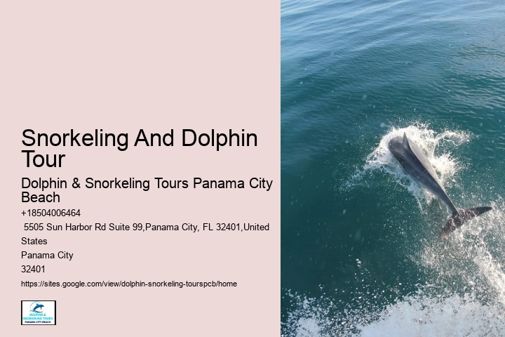Snorkeling And Dolphin Tour