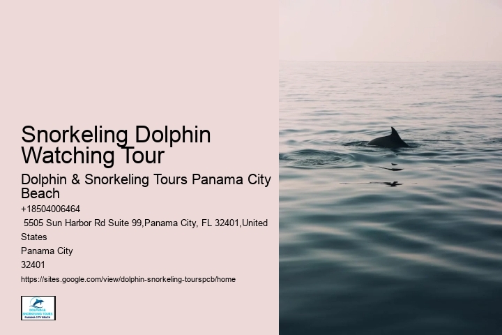Panama City Dolphin