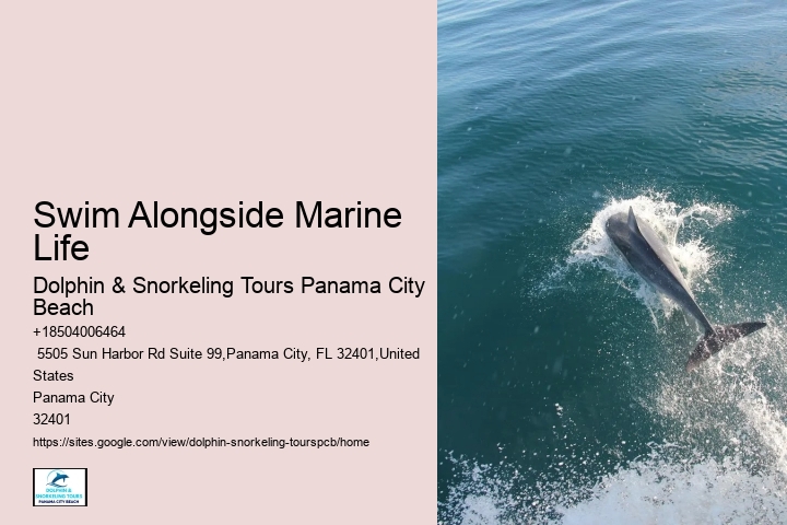 Swim Alongside Marine Life