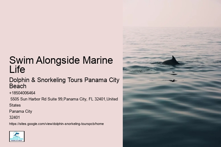 Explore Underwater Gardens