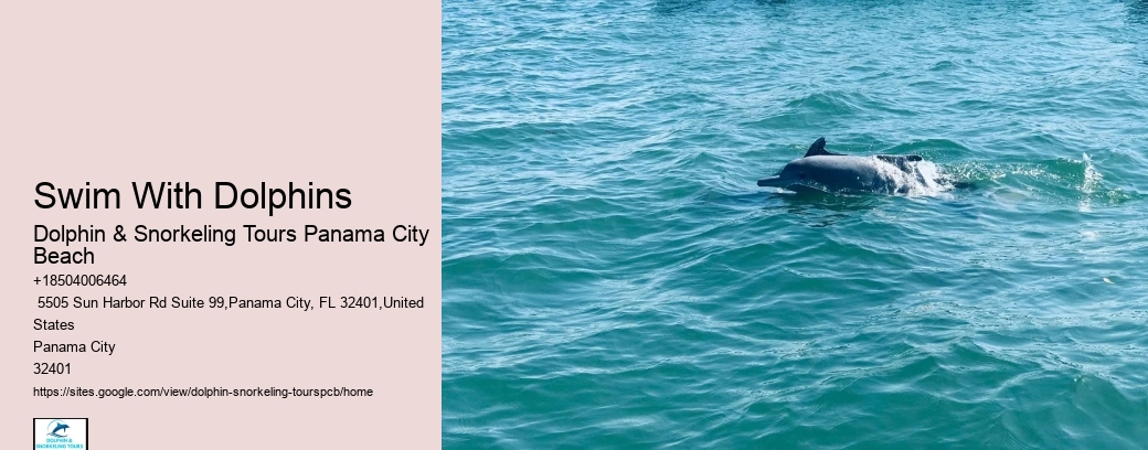 Panama City Beach Snorkeling Tours