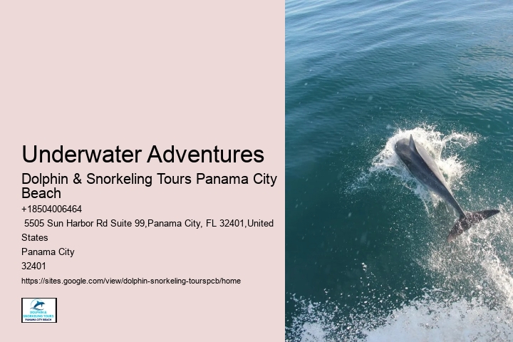 Underwater Adventures
