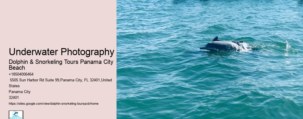 Underwater Photography